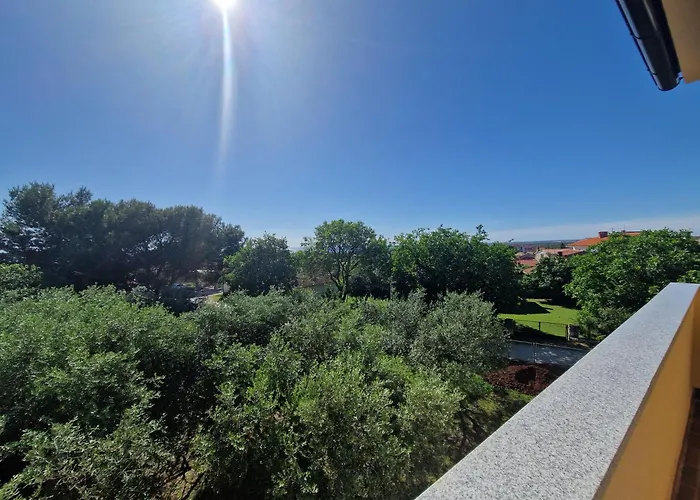 Mare-peroj * 보드냔